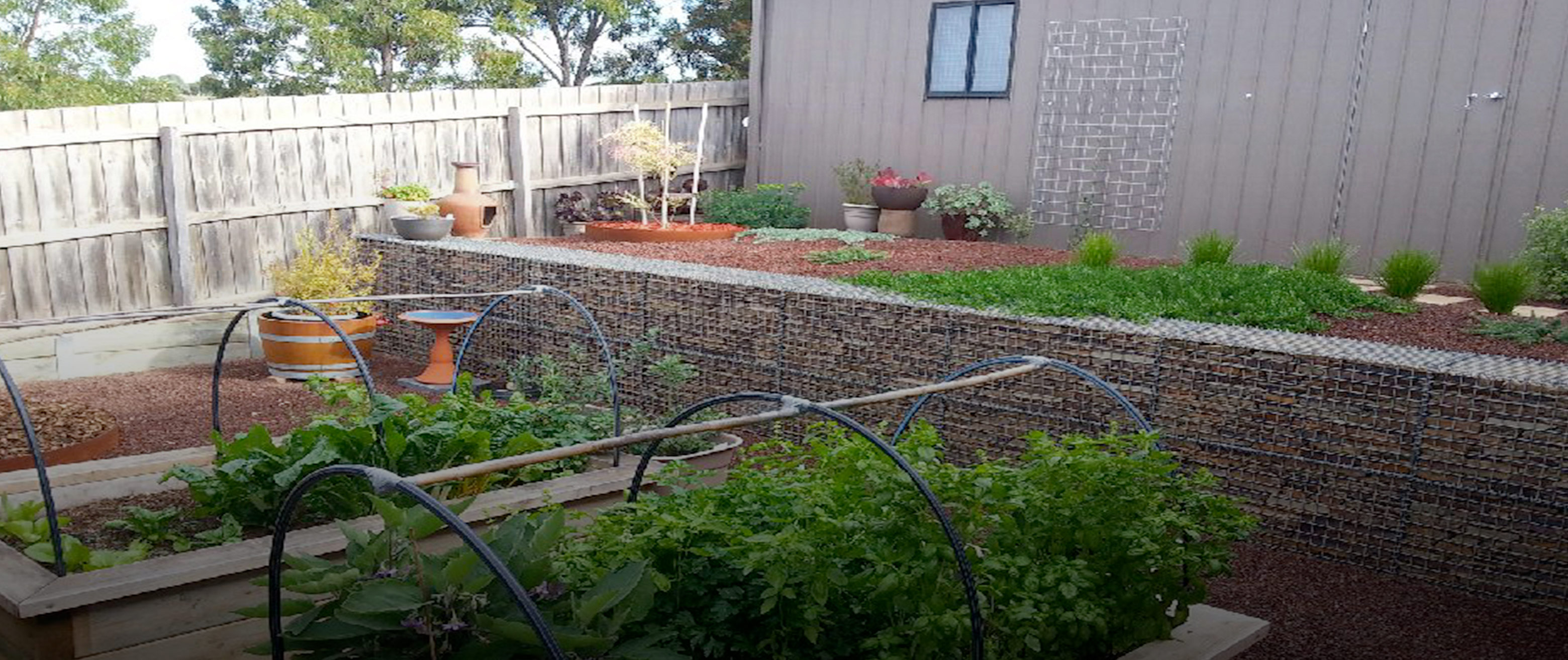 Gabion Vegetable Garden